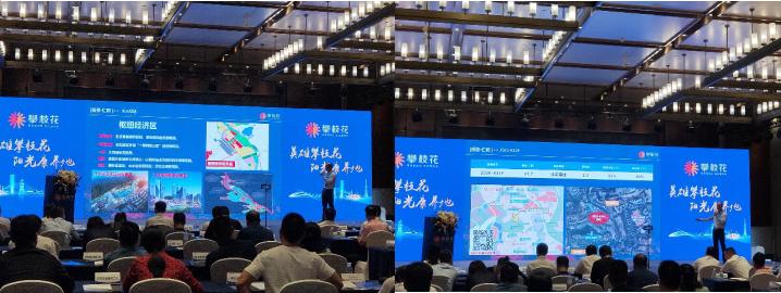 攀枝花市仁和区未来发展,攀枝花仁和发展规划