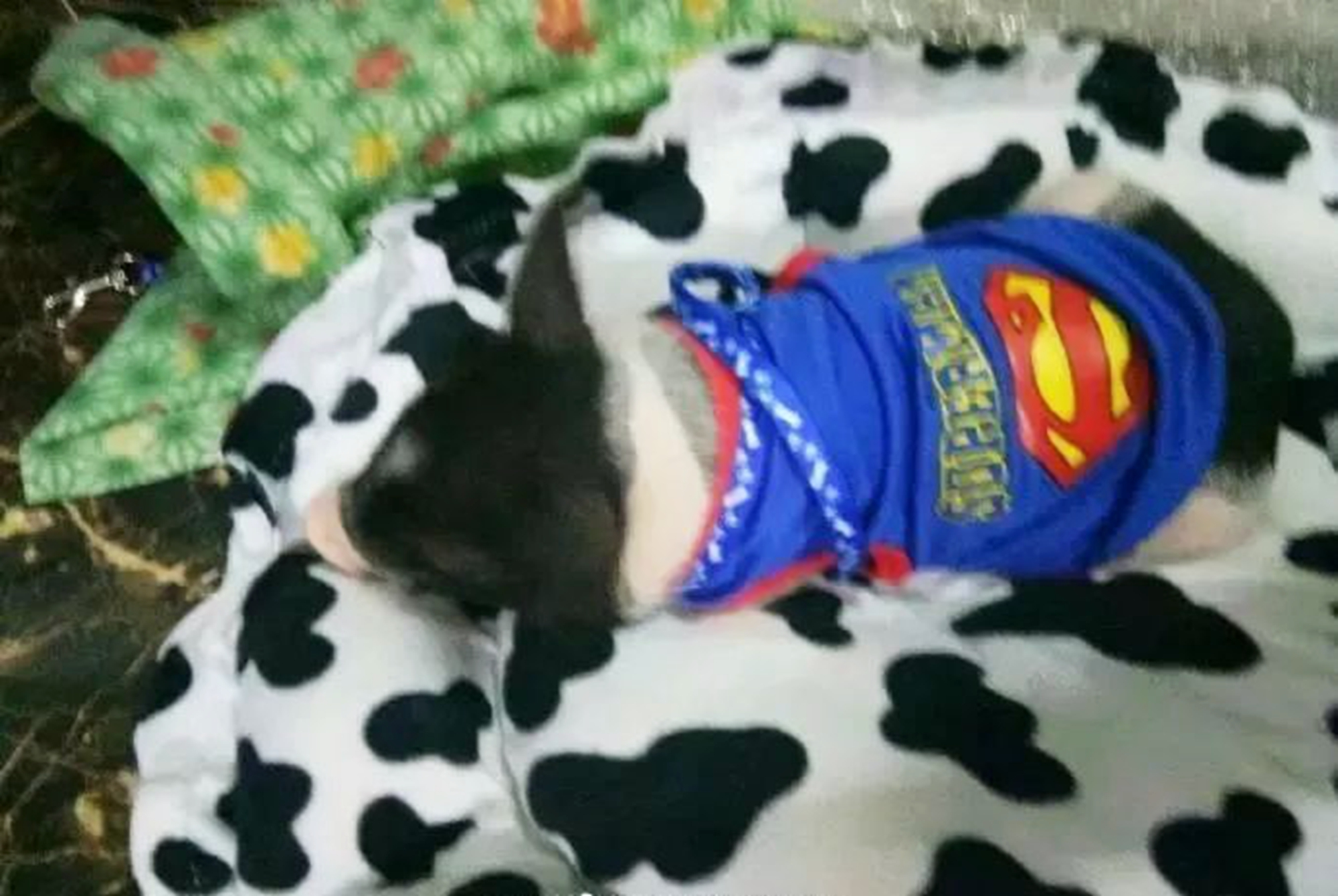 老师“突袭”查寝室，男生宿舍“禁品套装”五花八门，生活很滋润