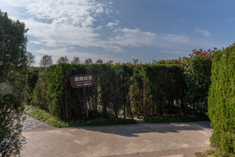 森林麋鹿公园,森林麋鹿