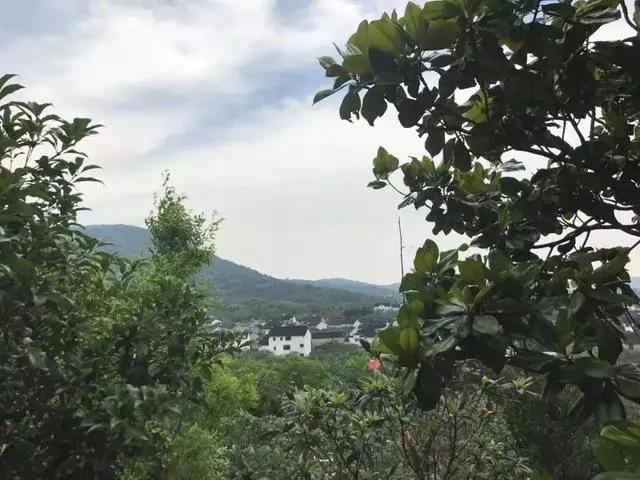 苏州太湖边有个千年绝美古村,苏州旅游十大必去景点古村