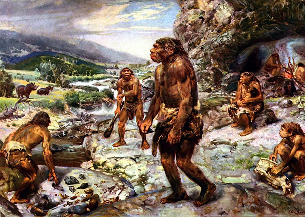 人都是女性生的，在人类出现前，世界上第一个女性是从哪里来的？