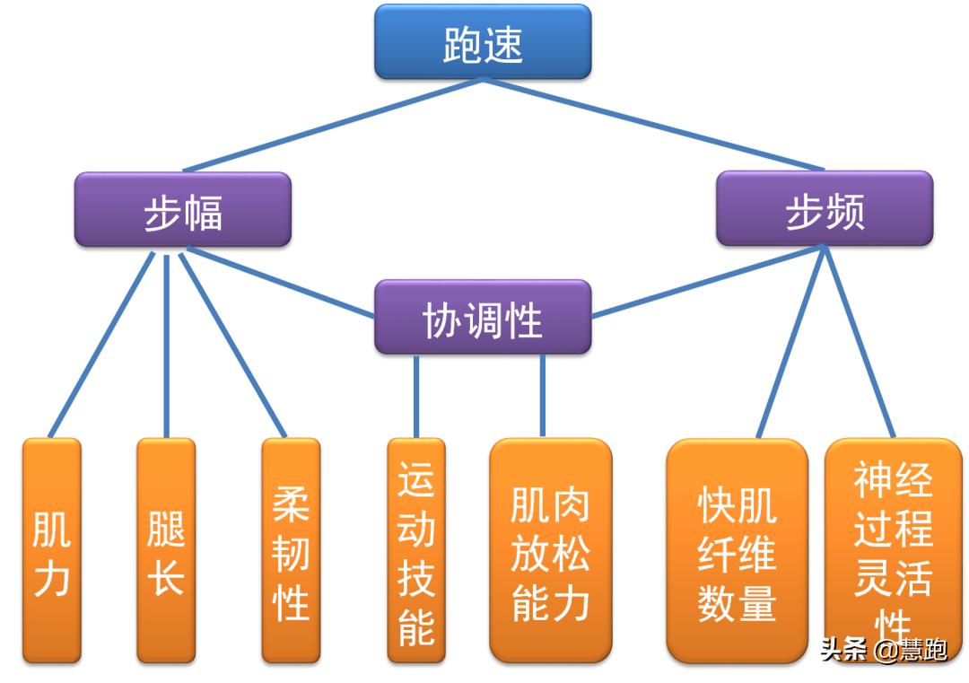 跑姿好难学,关于跑姿训练常见的13个问题