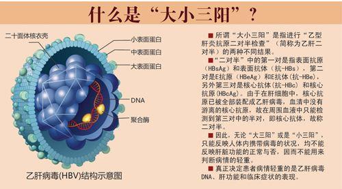 乙肝母婴阻断孩子三个月检查报告,新生儿乙肝阻断时间