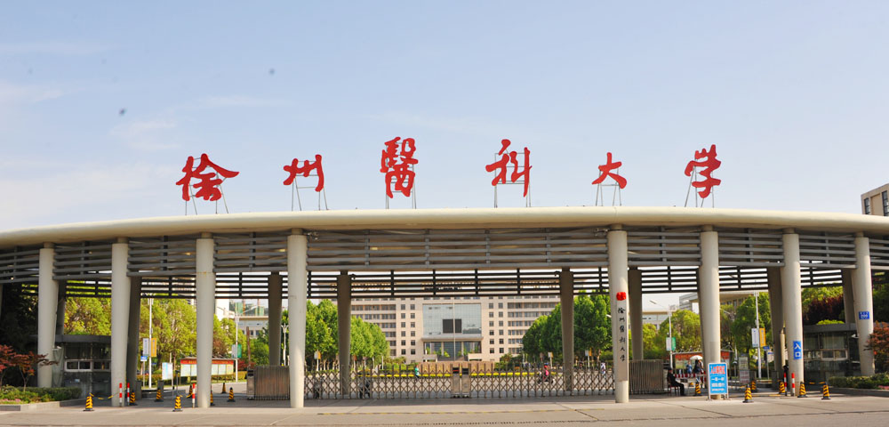 在就业中,医学院的985、211头衔重要吗?怎么评价医学院的好坏?