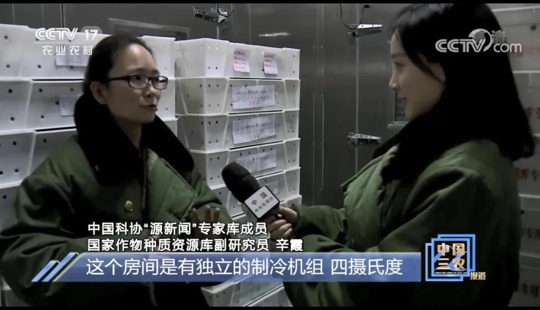 什么样的种子可以确保品相一样,种子如何进入种质库