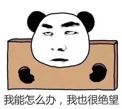 一群博士硕士,动不动“鬼混”到半夜,却干成了件人人称赞的事