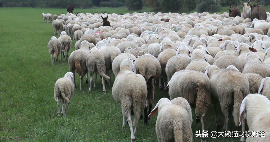 普通人成为炒股高手,普通人想成为炒股高手有多难