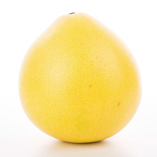 胎儿发育全过程标本,是否能看到胎儿的发育过程