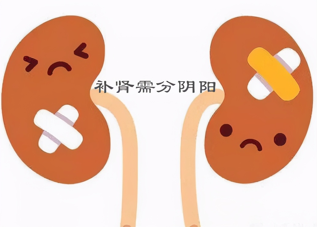 补肾养肾需分阴阳,肾阴虚、肾阳虚到底该如何区分?