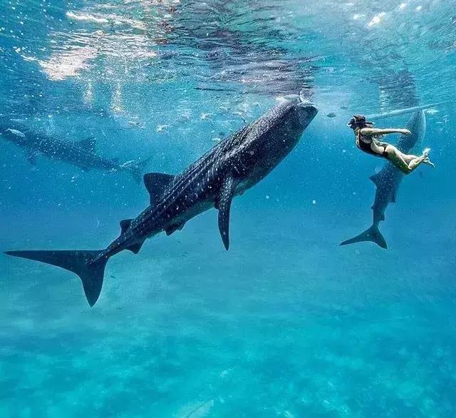 天津出发坐飞机2日游旅游推荐,天津出国旅游机票