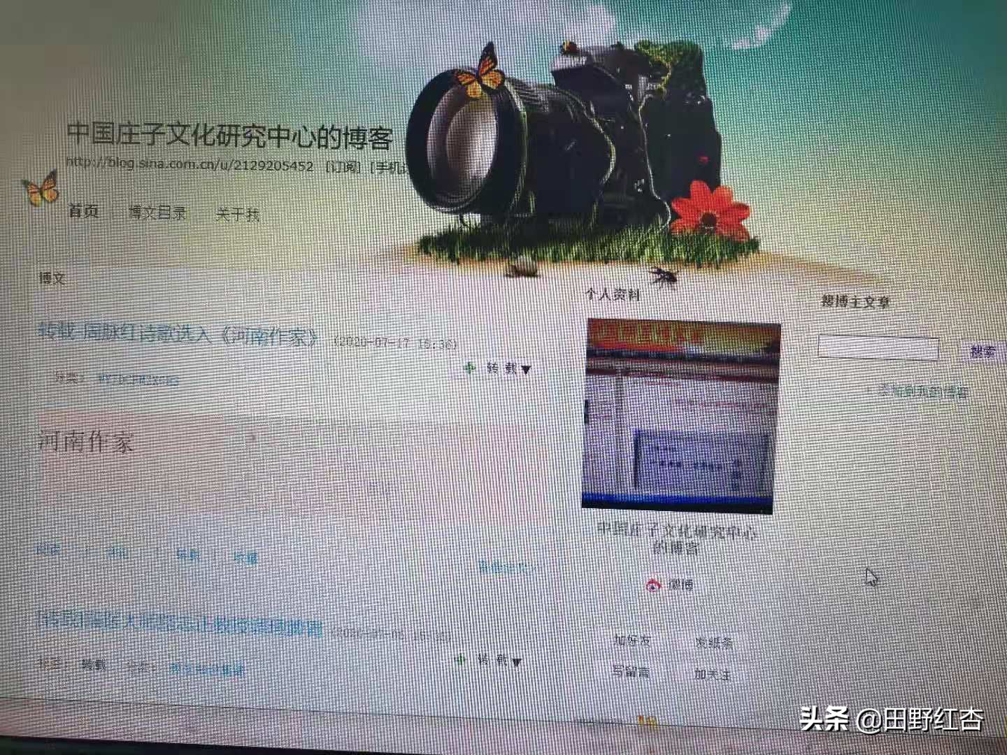 中国新浪明星博客圈入选标准是什么?田野红杏凭借什么入选的