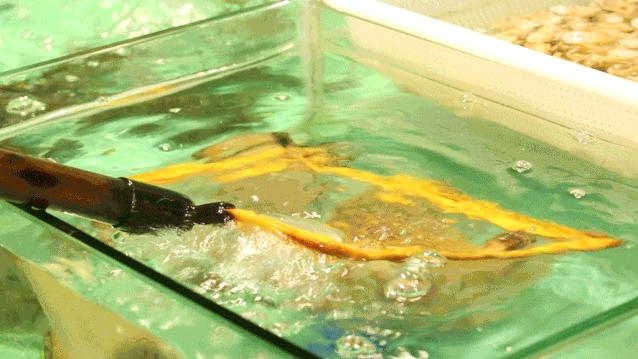 海鲜火锅双人餐团购推荐,龙虾鲍鱼海鲜火锅