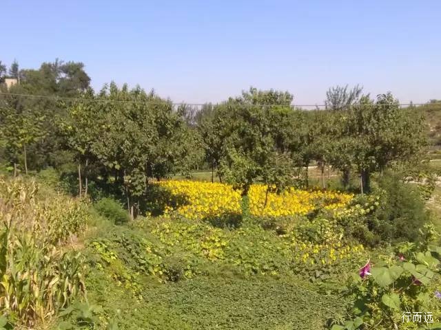 井陉骑行辛庄,井陉测鱼镇盘山路