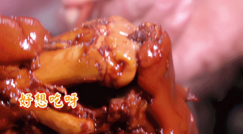 大厨做卤味熟食的过程,大厨教你如何做卤菜