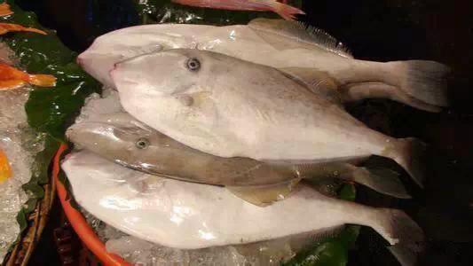 开海什么海鲜最好,开海季肥美海鲜