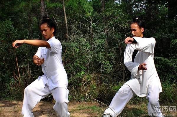 太吾绘卷伏龙坛最厉害的功法,太吾绘卷正式版武当派功法