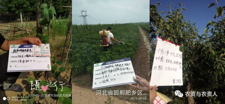 侨昌现代农业有限公司,侨昌现代农业