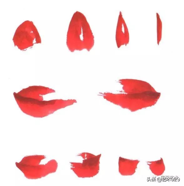 荷花的画法和步骤图解,最简单的荷花画法一学就会