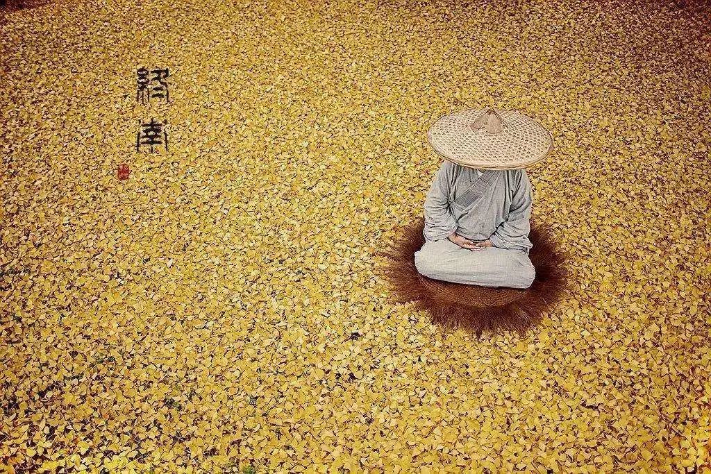 李世民栽的银杏树的价值,1400年李世民亲手栽的银杏树图