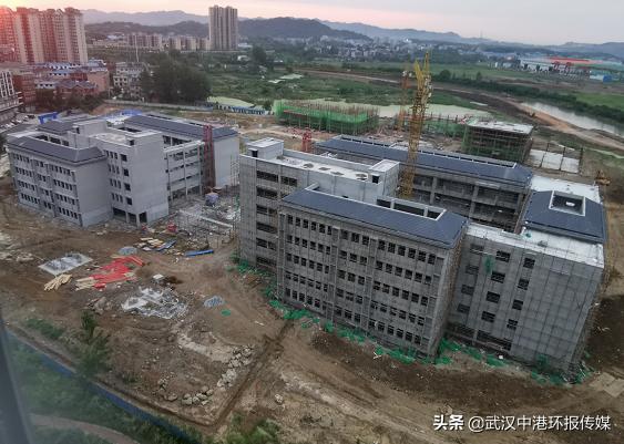 蹇冪郴姘戠敓鍙戝睍澶ц,蹇冪郴姘戠敓鍔╂帹鍙戝睍