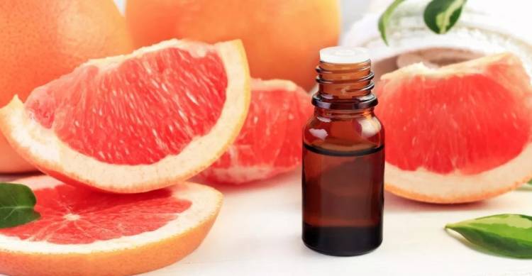 啥季节吃柑橘比较好,柑橘是这个季节的好水果