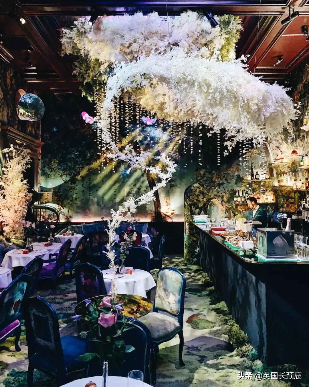 520/521：五月阳光下，伦敦依然盛放。记得常回来看看