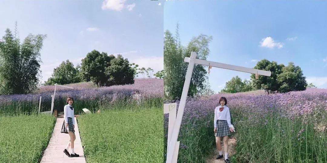 承包你的最美夏天！快来双流这个小普罗旺斯打卡