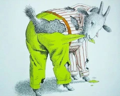 动物绝对不能穿衣服的绘本感言,比较好看的动物绘本推荐