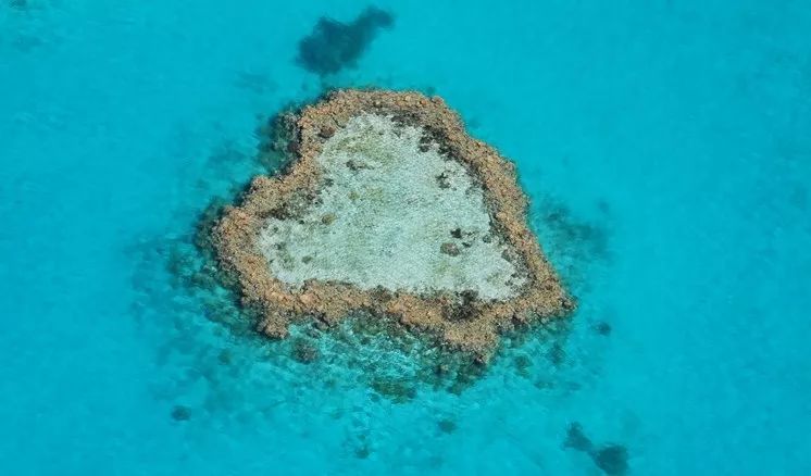 悉大爱约、新南渣?墨大的绿帽满街跑?