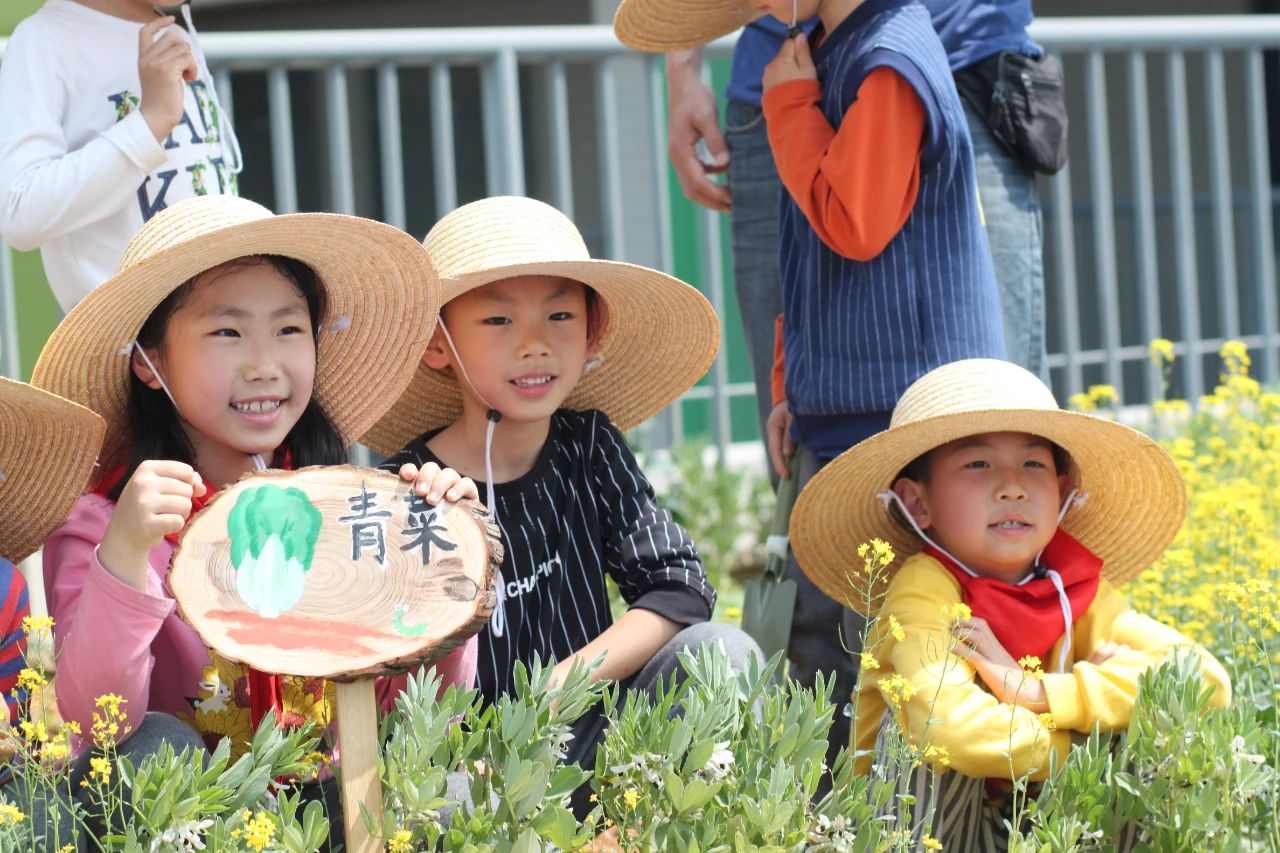 河西区公办小学,南京河西南有哪些好的小学