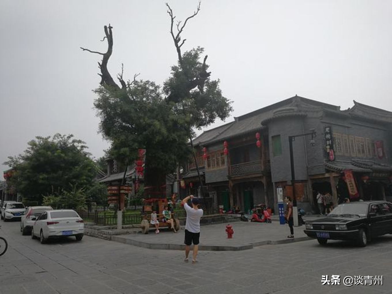 青州古城一日游视频,青州古城夜晚一日游