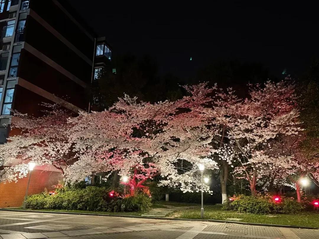 江苏省五星级高中(四)江苏省锡山高级中学