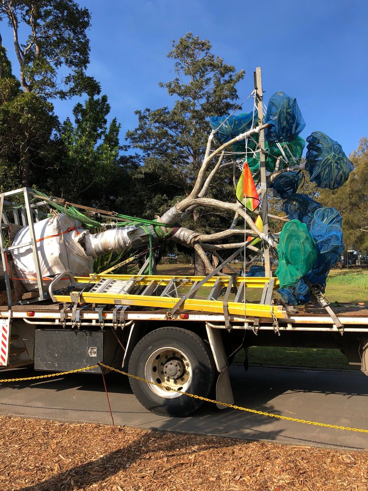 芦荟盆栽长得太高怎么办,冬天怎样快速生长芦荟