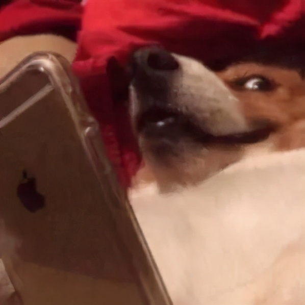 女朋友的胸，为什么忽大忽小？