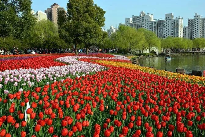 上海30家“休闲好去处”:一半以上都免费,够玩一整年