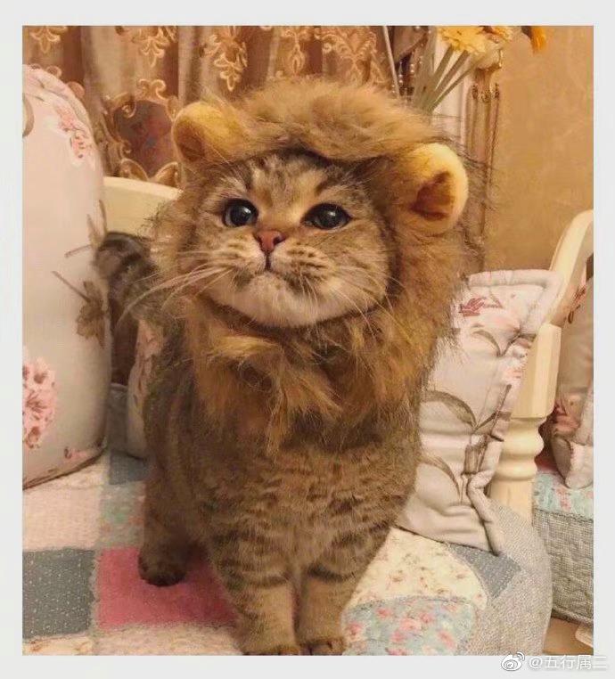 “教你怎么和家里的长辈微信聊天？”这操作太骚了！