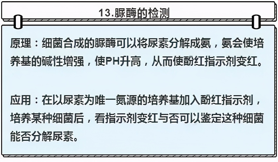 高中生物实验及其作用总结,高中生物实验要点归纳图