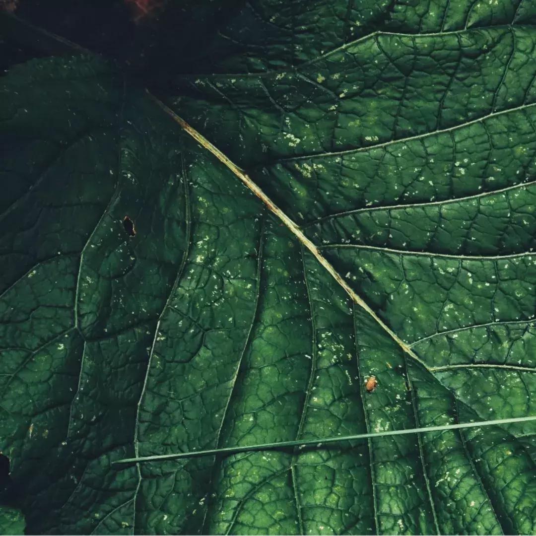 红色婚礼主题风格高级,粉色婚礼主题风格