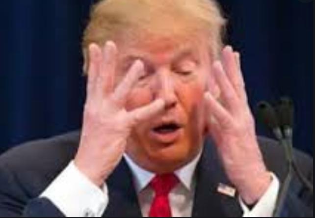 美国巨星评价特朗普,美国明星对特朗普的看法