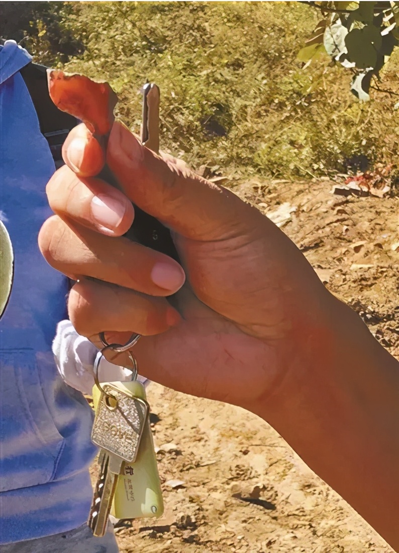 磁铁寻宝吸到兰博基尼,磁铁寻宝黑晶石