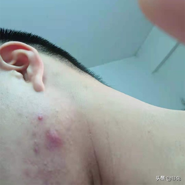 非兔fw03测评,非兔魔手测评