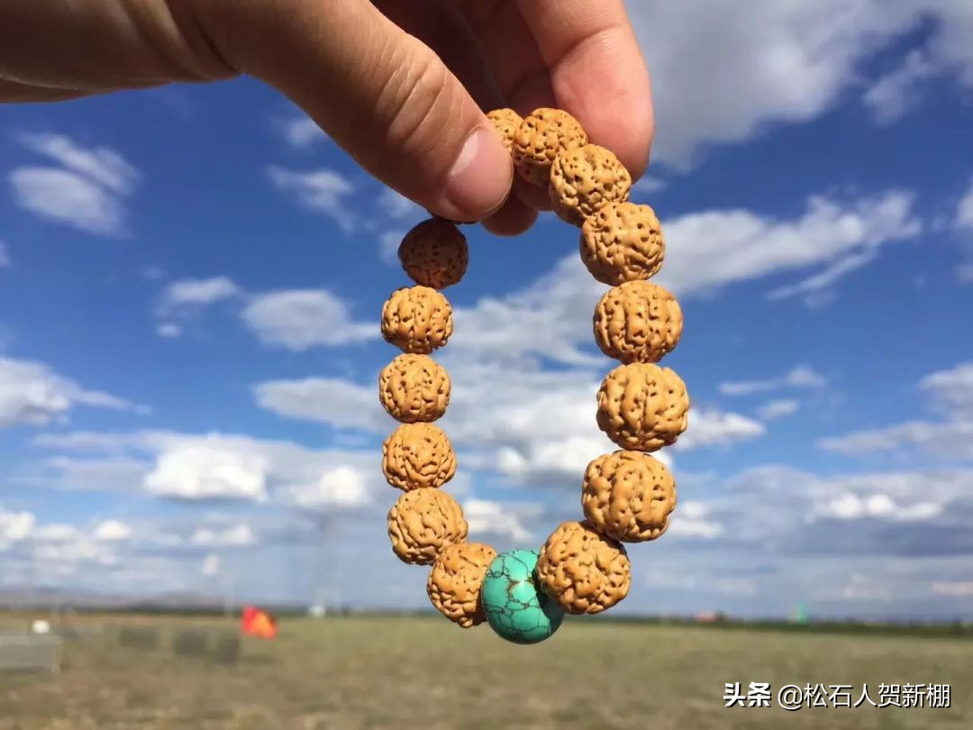 包浆十年的金刚,包浆金刚菩提一刷就掉渣是真的吗