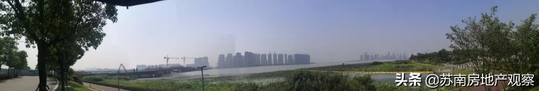 买花港,就是一场博弈