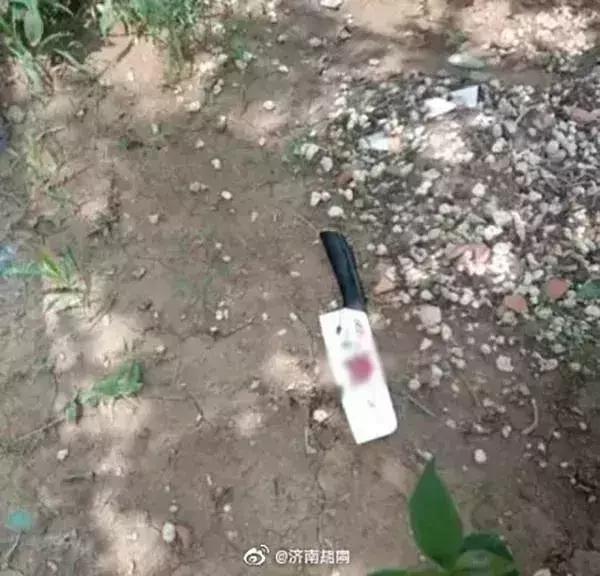 狗从高空掉下来会怎么样,狗从楼上摔下来有什么预兆