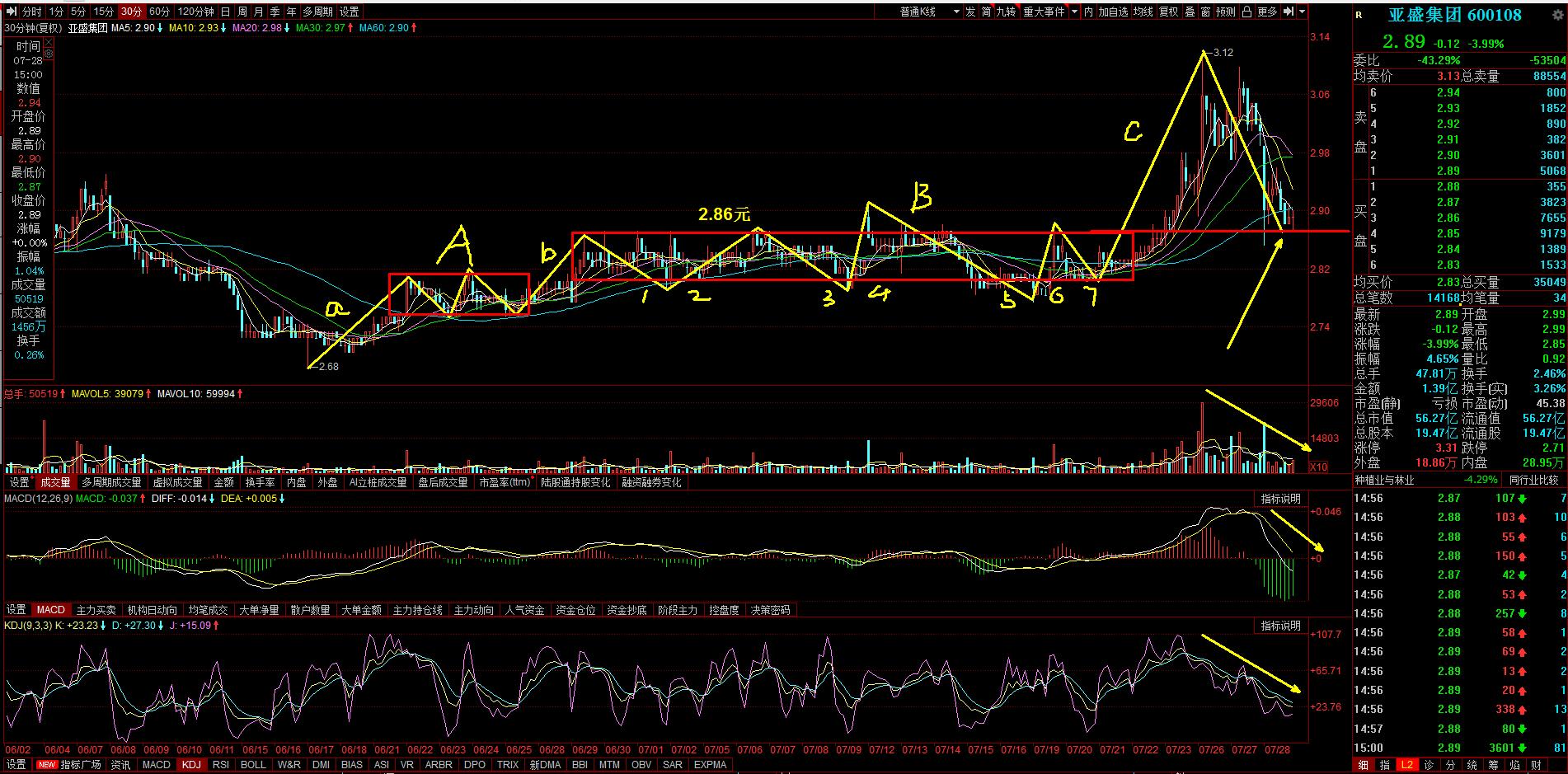 600108亚盛集团公司简介,600108亚盛集团后市如何操作