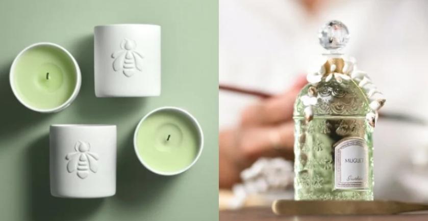 loewe蜡烛哪个味道好,loewe香氛蜡烛