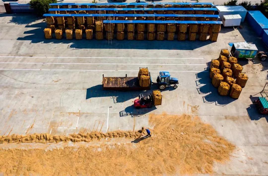 早安，太原！（2021.11.05）太原市通告一例新冠病毒核酸阳性检出者在并行程轨迹；山西交警发布安全出行提示