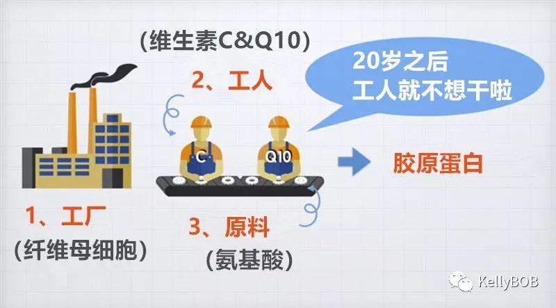 真黑黄皮逆袭到白皮的十年美白路,黑黄皮逆袭冷白皮详细方法