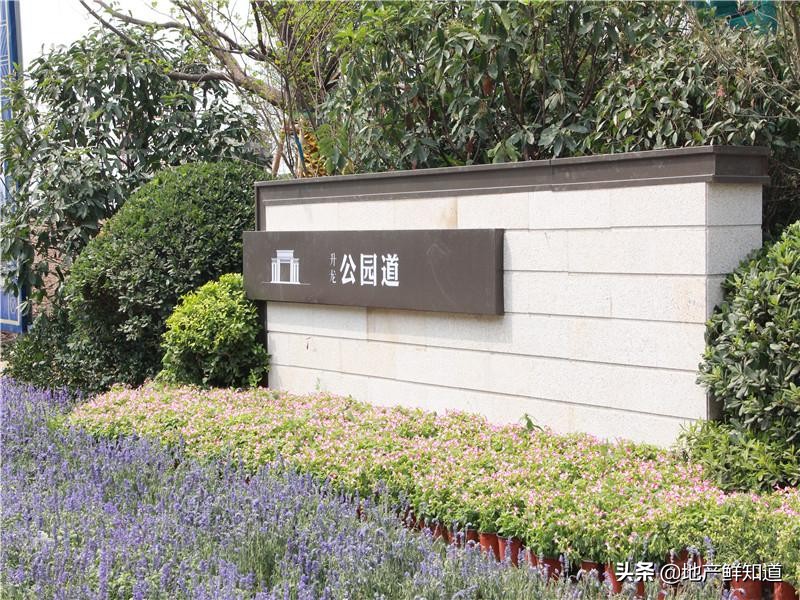 南京升龙公园设计图,南京升龙公园道中叠