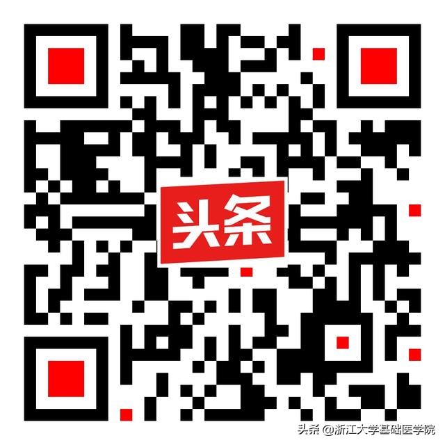 与研究员对话,徐鹏飞和徐云峰对话